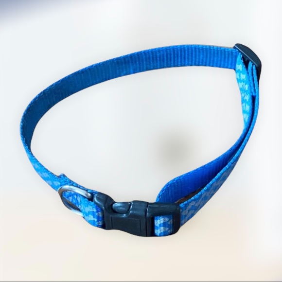 Other - Dog collar